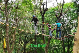 Adventure Activity ATV RIDE 2.25 Kms RZR 570 - The Route in Plain English: Tea Gardens, Slopes, Forest by a Stream, Orchard Climb