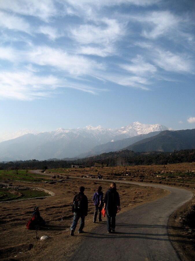 Fields and pine slopes around the Bir Tibetan Colony