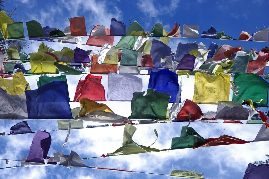 Tibetan prayer flags strung between trees in the Himachal Tibetan-Buddhist region