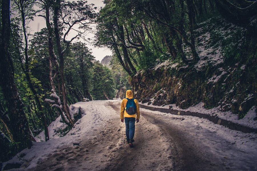 Snowy forest path on the way to Billing in winter