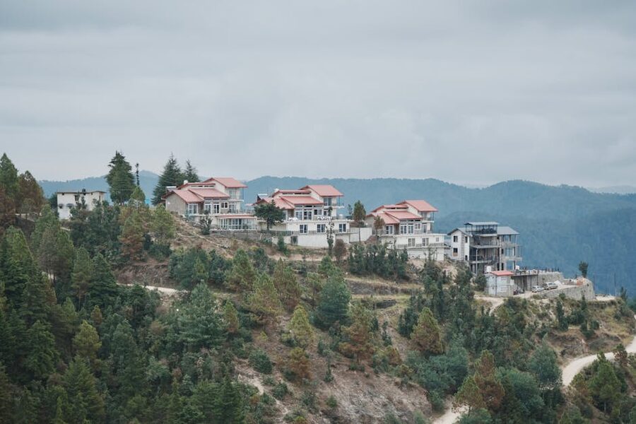 Houses on a mountain ridge surrounded by pine trees in Chail, Himachal Pradesh