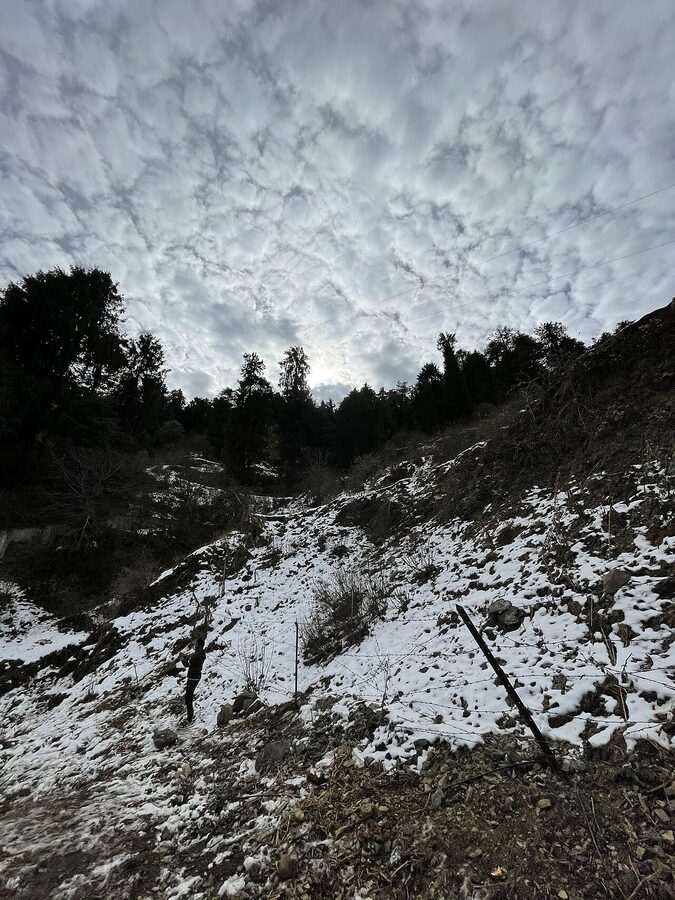 Chail under fresh snow in winter, with deodar forest