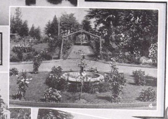 The garden at Rajgarh Villa Palace, Chail, photographed for the 1922 survey of Indian States.