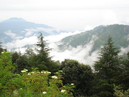 The wooded ridges at Chail in clear post-monsoon weather.