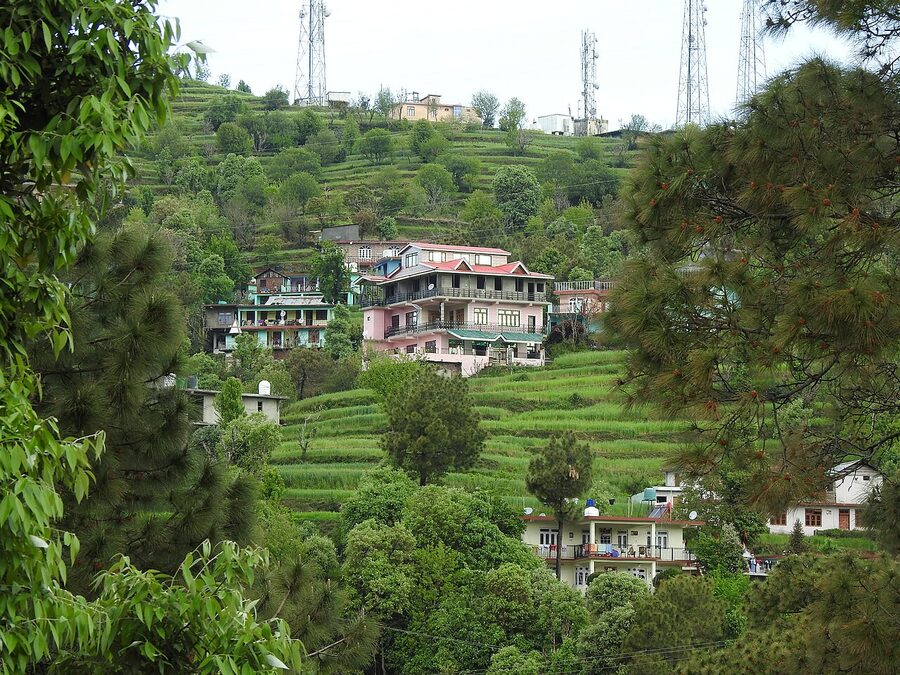 View across Banikhet town below Dalhousie with terraced fields and Himalayan foothills.