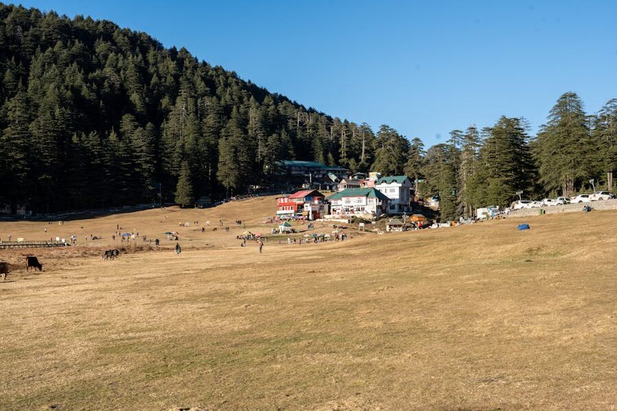 Khajjiar meadow with people walking on the green grass surrounded by tall pine trees.