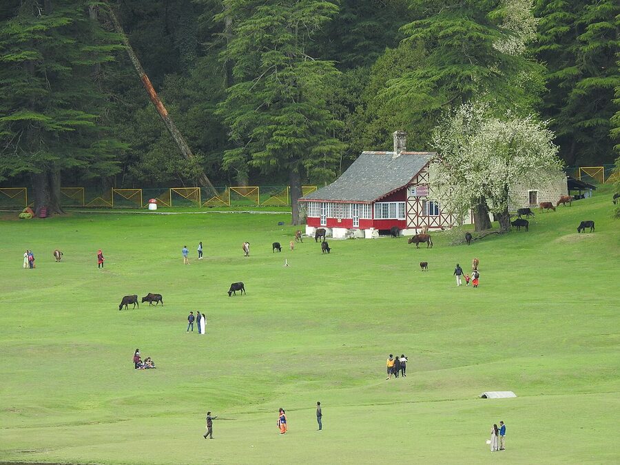 The wide green meadow at Khajjiar surrounded by deodar and cedar forest in Chamba district.