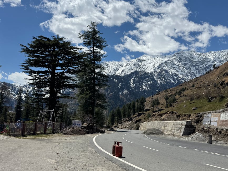 Mountain road winding through deodar forest near Manali, Himachal Pradesh