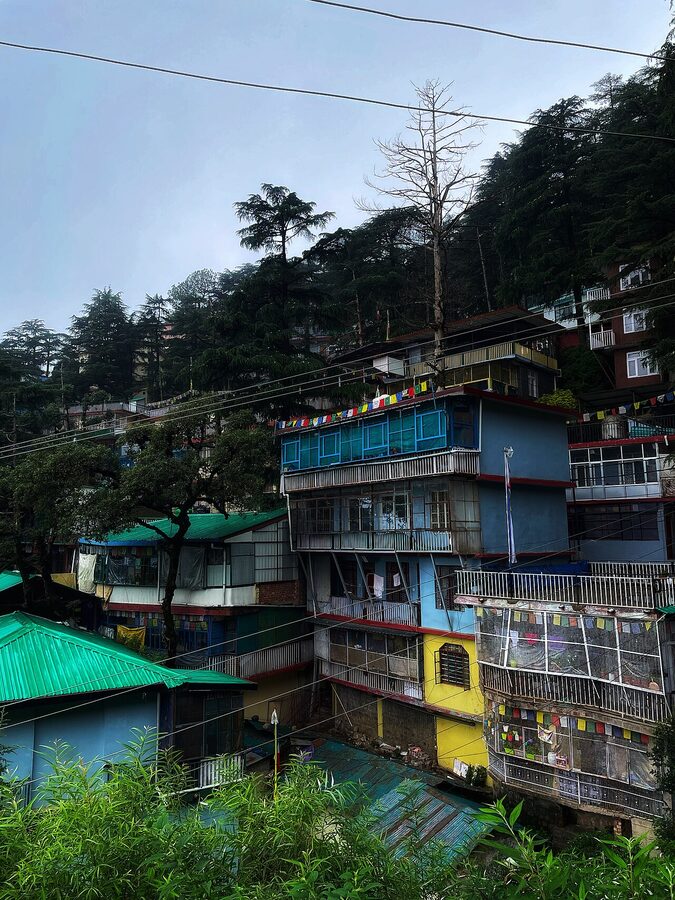 Multicoloured houses on the green slopes of Dharamkot village, Himachal Pradesh.