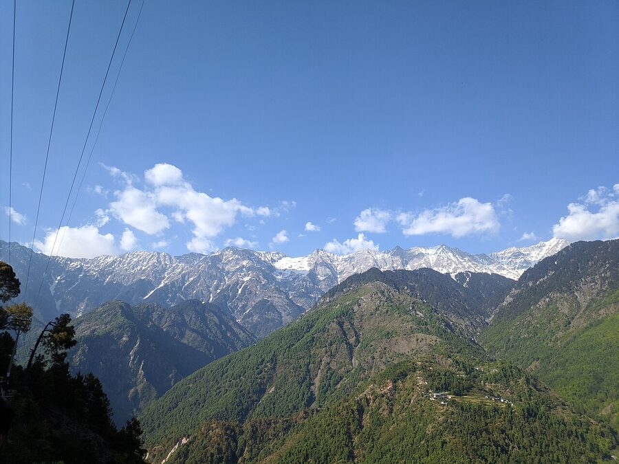 The Dhauladhar range from Naddi viewpoint with deep green foothills below the snow line.