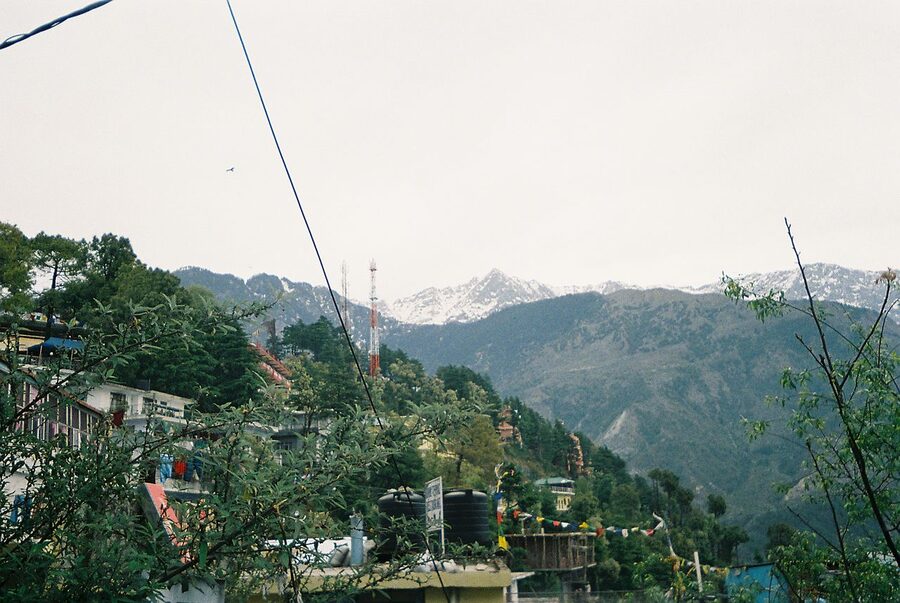 A panoramic view of McLeod Ganj with rooftops and the Dhauladhar range in the background, Himachal Pradesh.