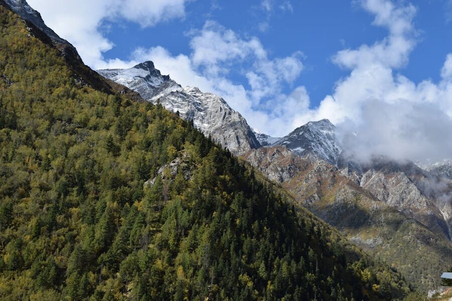 Mountain and forest scenery near Chitkul, Himachal Pradesh