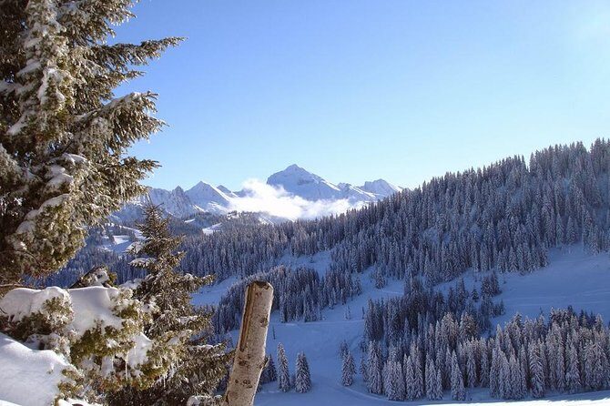 Exotic Manali Package - Key things I’d plan around