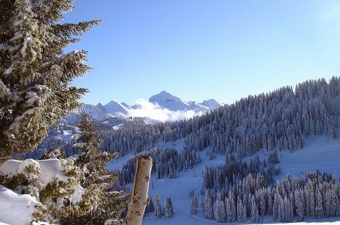 Exotic Manali Package - Why this 4-day Manali trip works when time is short