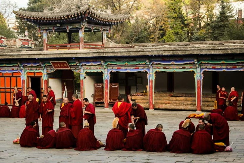 Explore Dharamshala's monasteries for Tibetan spirituality - How a six-hour Dharamshala monastery route actually feels