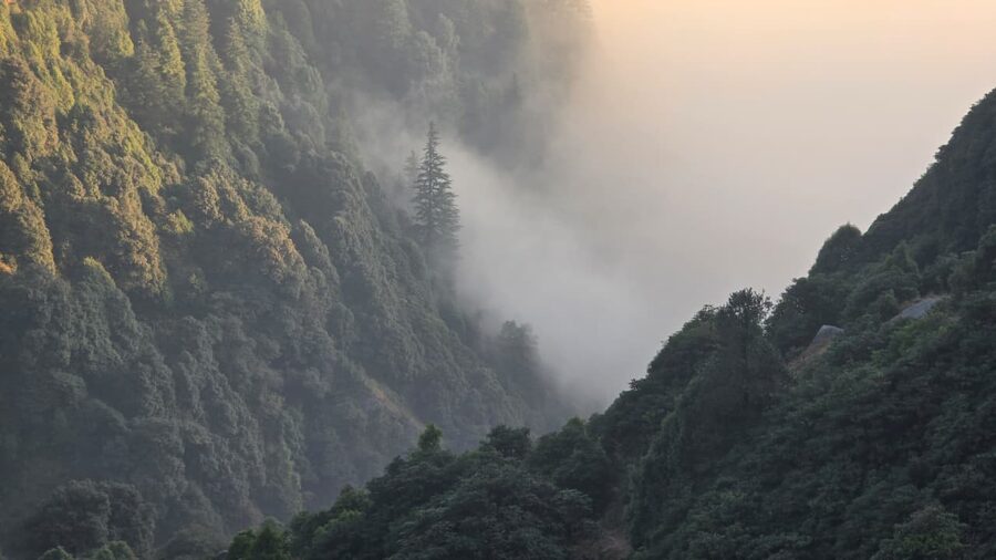 Triund trek route in Kangra district, Himachal Pradesh, with the Dhauladhar range visible.