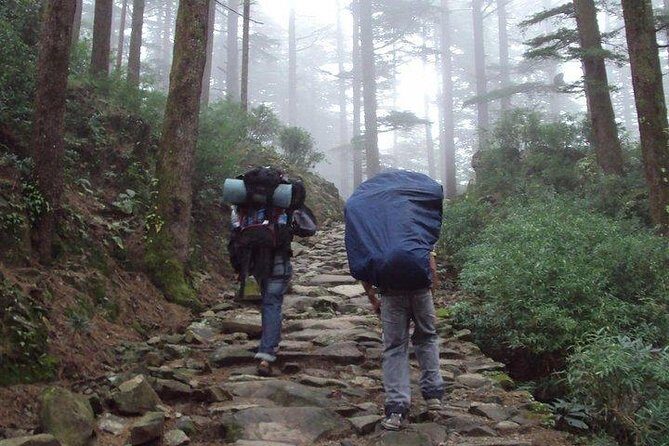 Guided Day Hike to Guna Devi Temple from Mcleodganj - Walking the Bhated Nallah, Balh village, and Dharamkot pauses
