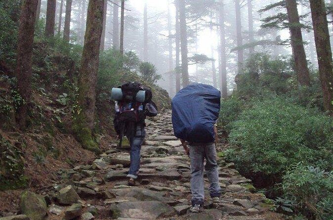 Guided Day Hike to Guna Devi Temple from Mcleodganj - The guide makes or breaks the experience