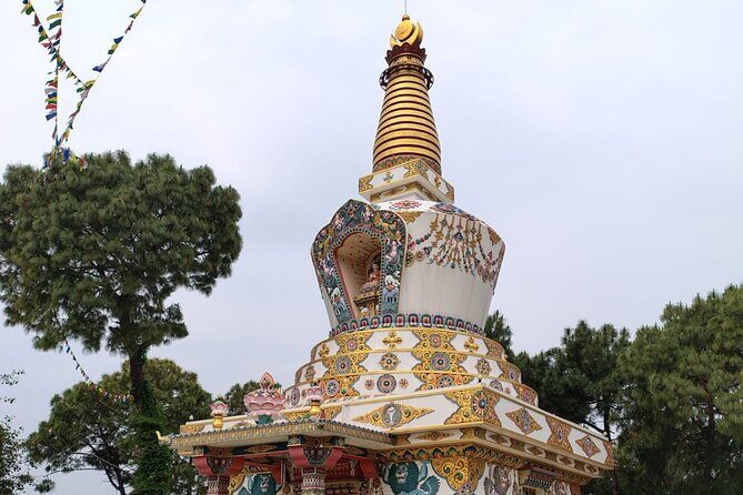 Guided Day Tour to Bir – Monasteries,Temple & Tea Garden Visit - Bir’s spiritual loop: how this 6-hour day really works