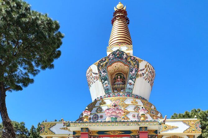 Guided Day Tour to Bir – Monasteries,Temple & Tea Garden Visit - Price and value: what $74 buys you in real terms
