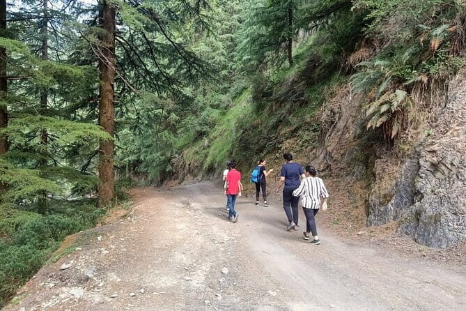 Guided Kora Circuit & Walking Tour Around McLeod Ganj - How the walking pace really feels over 2 to 3 hours