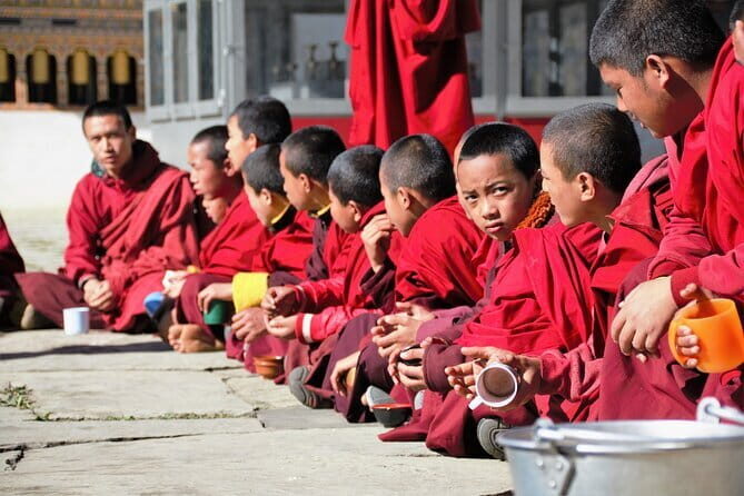 Guided Tour to Palampur-Monasteries, Temple & Tea Gardens visit - Key Stops You’ll Get (And Why They Matter)