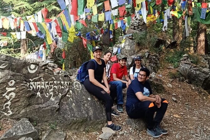 Guided Tour to Palampur-Monasteries, Temple & Tea Gardens visit - Dorzong Monastic Institute: Where the Calm Feels Real