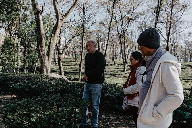 Guided Tour to Palampur-Monasteries, Temple & Tea Gardens visit - Price and Value: Why $46 Can Make Sense Here