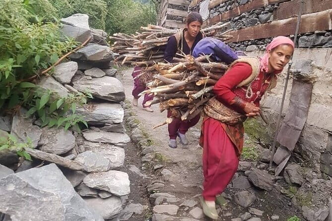 Guided Village walk with Stories in Dharamsala - Through the tall deodar and pine: your main route is the scenery