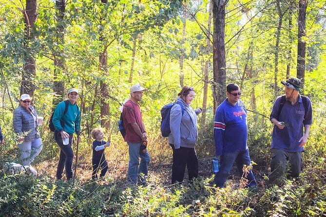 Guided Village walk with Stories in Dharamsala - Price and value: $31 for a guided culture-and-nature package