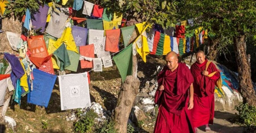 Guided Walk, India's Own Mini Tibet at Mcleodganj - Key highlights you’ll actually care about