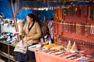 Guided Walk, India's Own Mini Tibet at Mcleodganj - Kalachakra Temple and the Thekchen Choumlling complex: where names carry weight