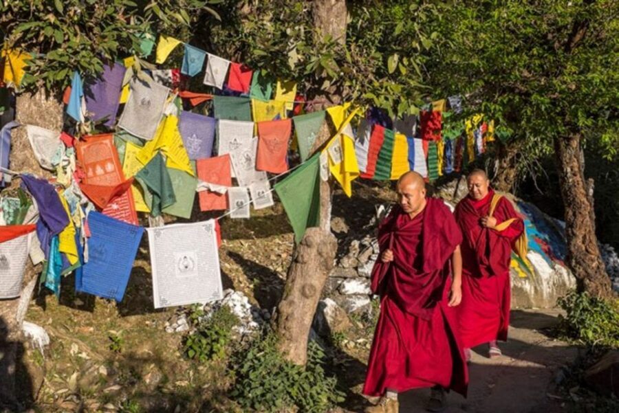 Guided Walk, India's Own Mini Tibet at Mcleodganj - Men-Tsee-Khang: Tibetan medical and astro institute as welfare in action