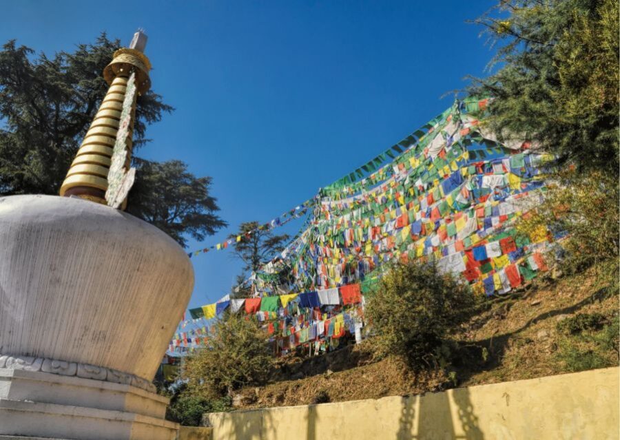 Heritage & Cultural Trails of McLeodGanj Guided Walking Tour - What the Guide Adds (and What Can Vary)