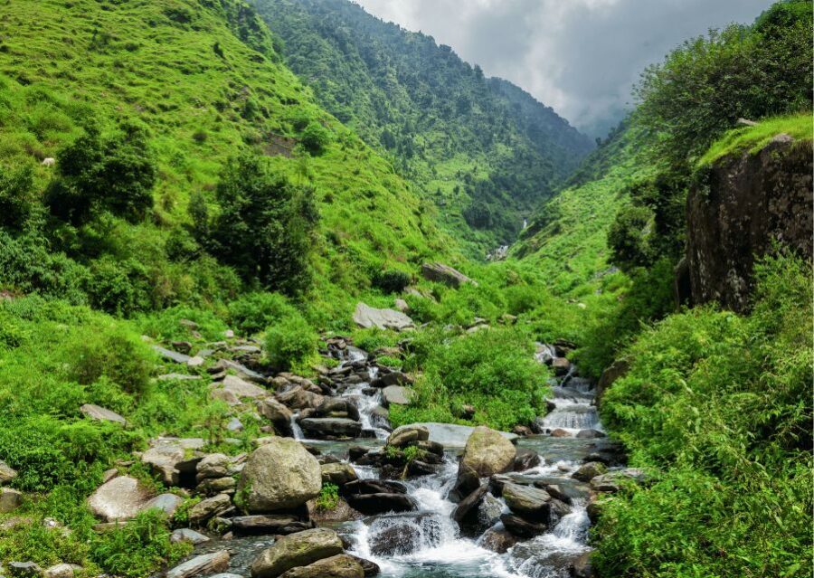 Heritage & Cultural Trails of McLeodGanj Guided Walking Tour - Price and Value: Is $14 a Fair Deal Here?