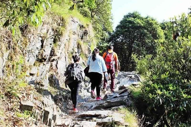 Hiking Day Tour to Triund from Dharamshala - Quick hits: what makes this Triund day hike work