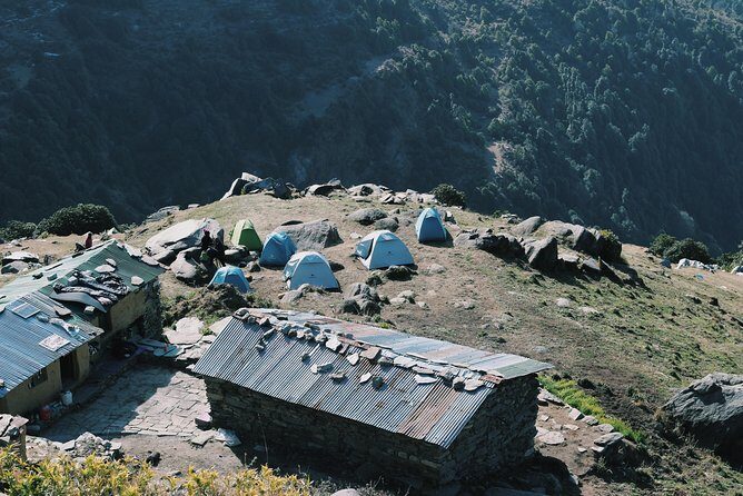 Hiking Day Tour to Triund from Dharamshala - The climb through oak, rhododendron, and deodar