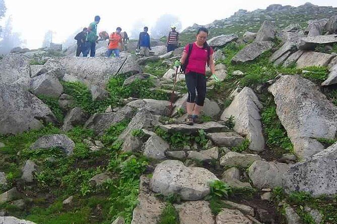 Hiking Day Tour to Triund from Dharamshala - Meeting point: where to start without wasting daylight