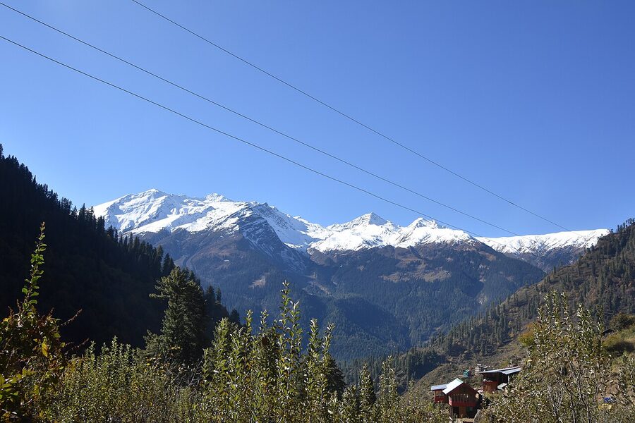 Apple orchard in the Parbati Range of Himachal