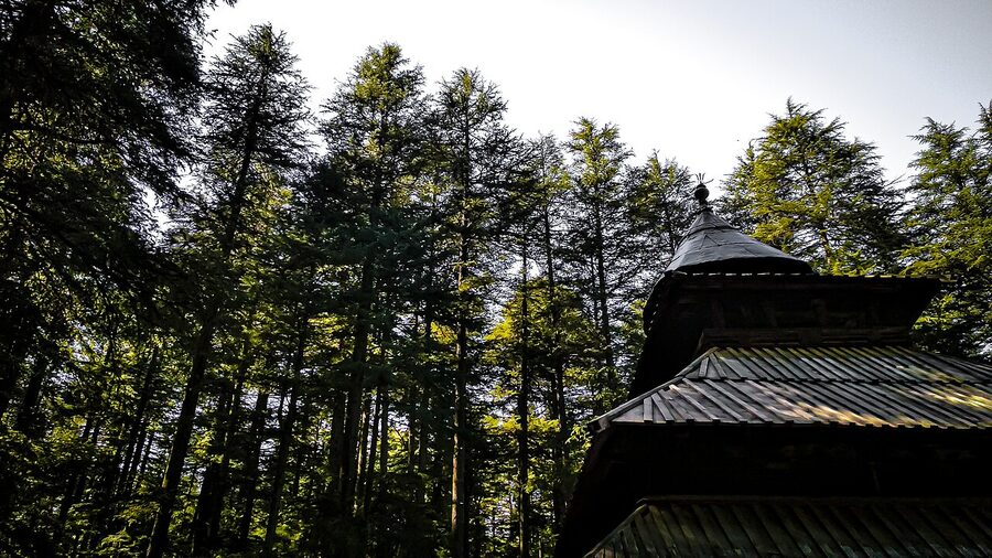 Hadimba Devi Temple in Manali with pagoda roof