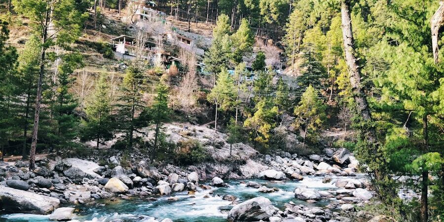 The Parvati River flowing through Kasol in Himachal Pradesh, surrounded by pine forests