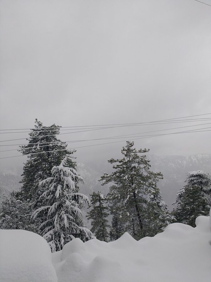 The hills around Mashobra near Wildflower Hall, with deodar forest and snow peaks