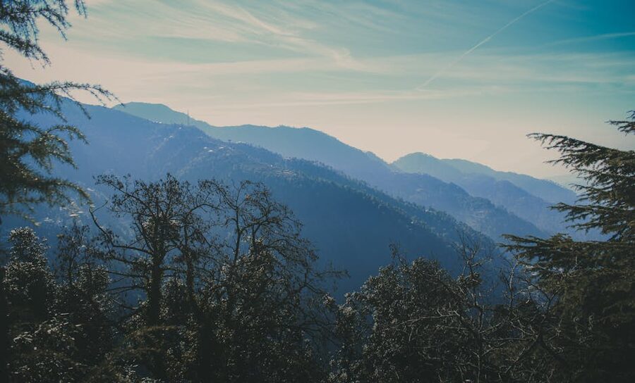 Misty foggy mountain forest in Dalhousie, Himachal Pradesh