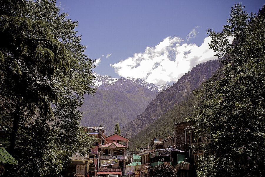 Kasol village in the Parvati Valley with the river and pine forest