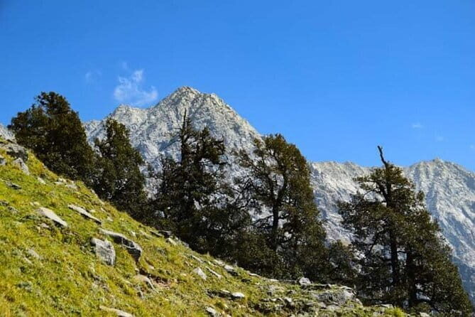 Indrahar Pass Trek with Manu Adventures India - From McLeodganj to Triund: the easy start that sets expectations