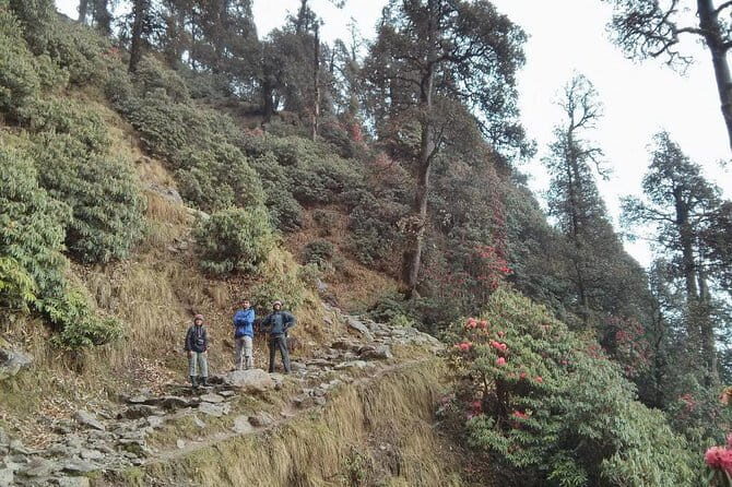 Indrahar Pass Trek with Manu Adventures India - Who should book this trek (and who should think twice)