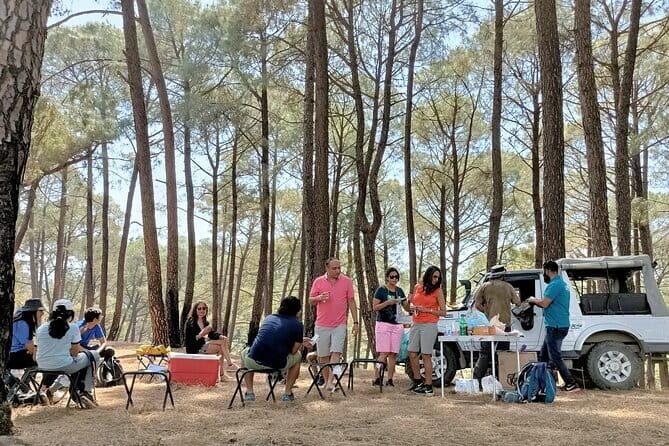 Jeep Safari and Picnic Tour - Your “Jeep Safari + Picnic” day in Palampur: what it feels like