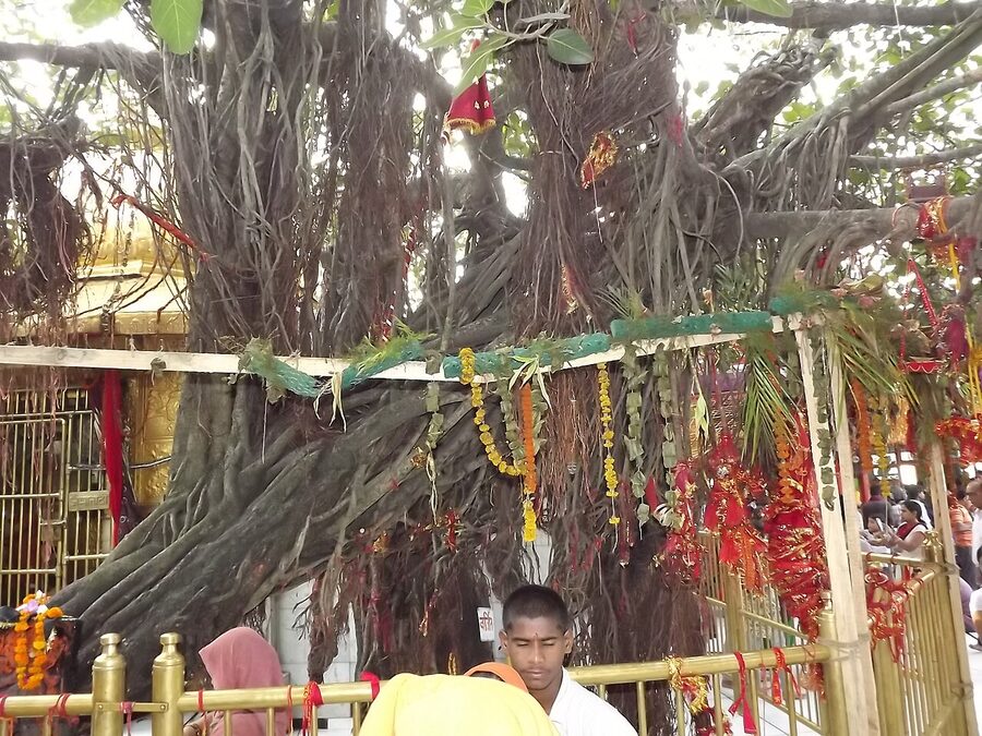 Chintpurni Devi temple, Una district, Himachal Pradesh