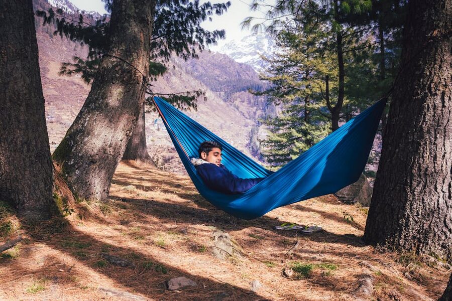 A traveller relaxing in a hammock under deodar pines in Tosh village, Parvati Valley.