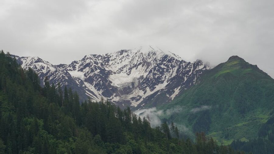 Snow-capped Himalayan peaks rising above the forests around Tosh, Parvati Valley.